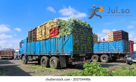 Affordable Vegetable Transportation Pakistan